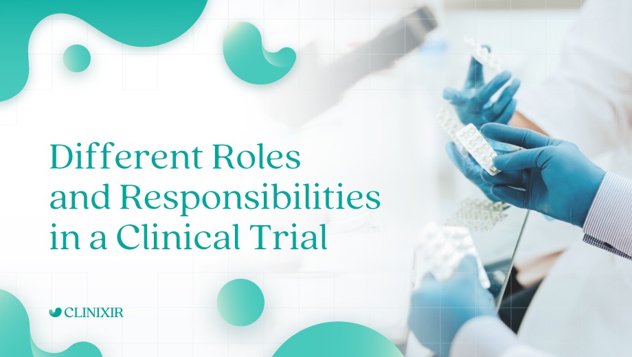 Different Roles and Responsibilities in a Clinical Trial